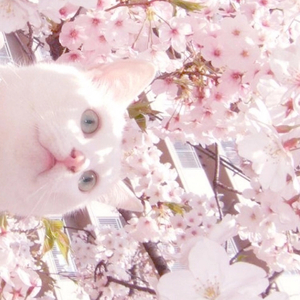 主人～别揉了～屁股～啊～嗯动漫
